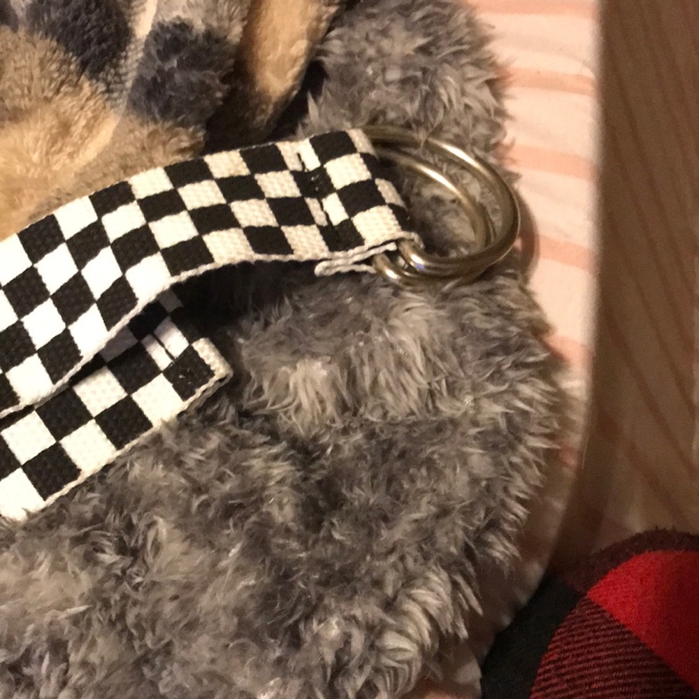 Belt